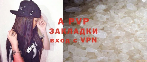 индика Гусиноозёрск