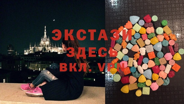 индика Гусиноозёрск