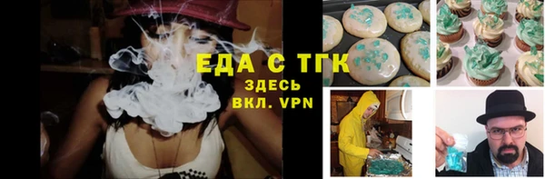 индика Гусиноозёрск