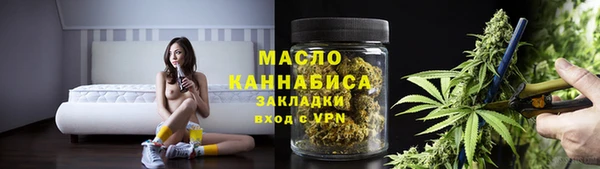 индика Гусиноозёрск