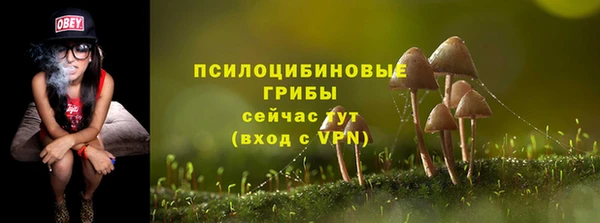 дживик Гусь-Хрустальный