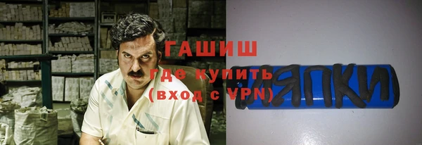 индика Гусиноозёрск
