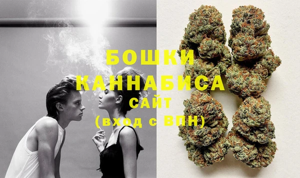 индика Гусиноозёрск