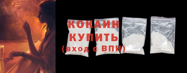 индика Гусиноозёрск