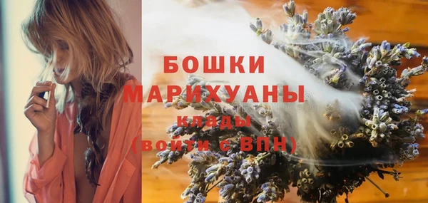 дживик Гусь-Хрустальный