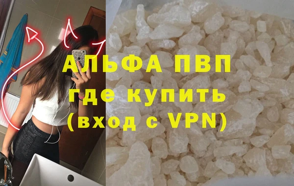 индика Гусиноозёрск