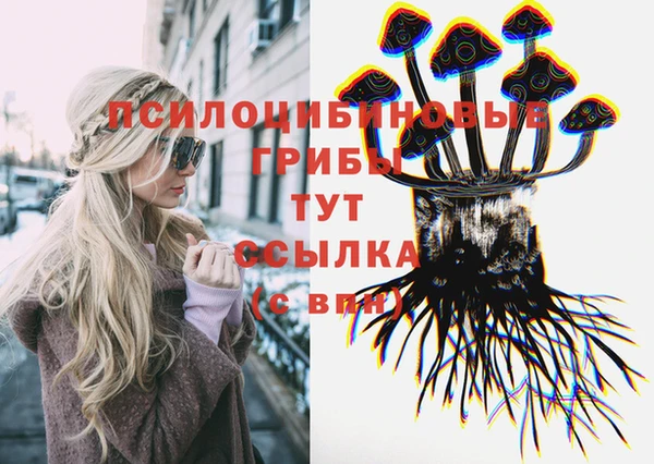 дживик Гусь-Хрустальный