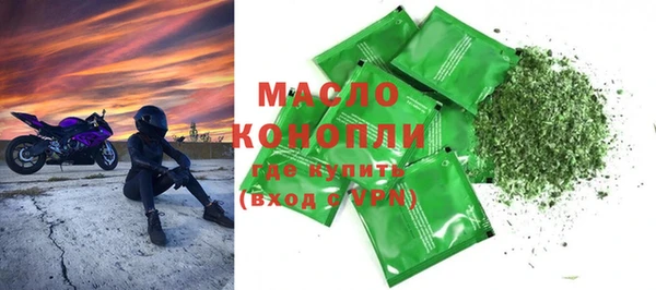 индика Гусиноозёрск