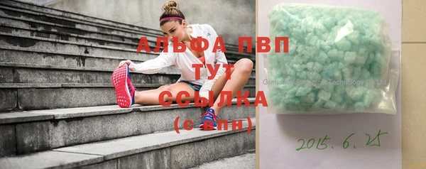 индика Гусиноозёрск