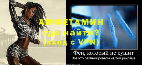 индика Гусиноозёрск