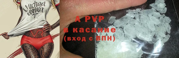 дживик Гусь-Хрустальный