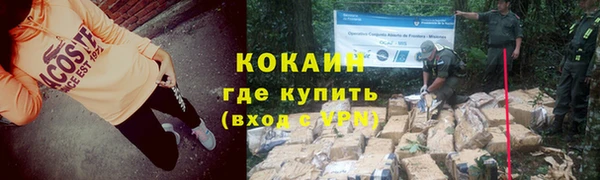 дживик Гусь-Хрустальный