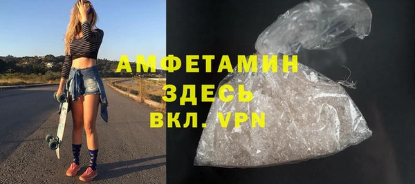индика Гусиноозёрск