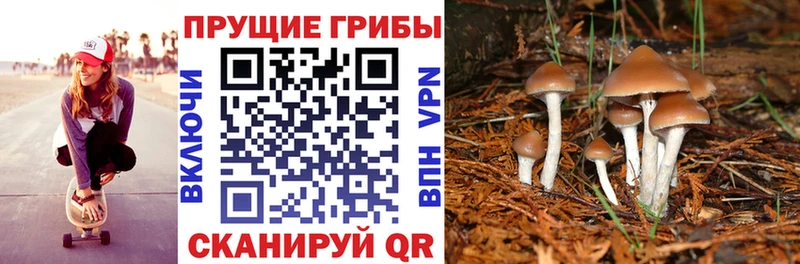 kraken ONION  Иваново  Псилоцибиновые грибы GOLDEN TEACHER  закладки 